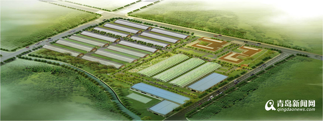 13個現(xiàn)代農業(yè)項目落戶西海岸，總投資52億元